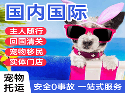乌兰浩特义勒力特机场货运国际宠物托运 【国